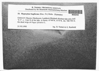 Hypoxylon fragiforme image